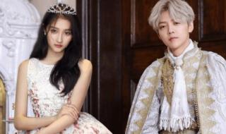 在树上唱rap 在树上唱rap